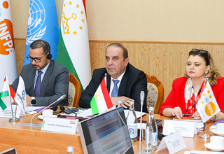 UNFPA convenes a meeting of Development Coordination Council's Statistics Working Group in Tajikistan